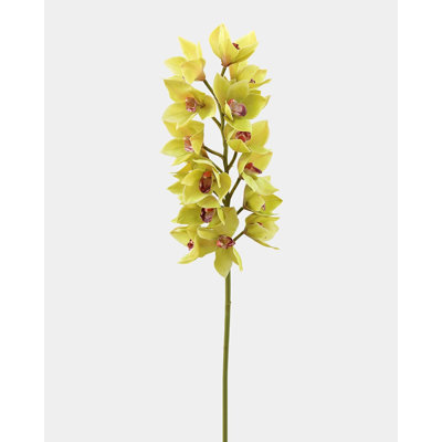 Vert cymbidium orchidée 41,5 po