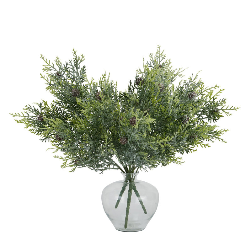 Antioca Arrangement