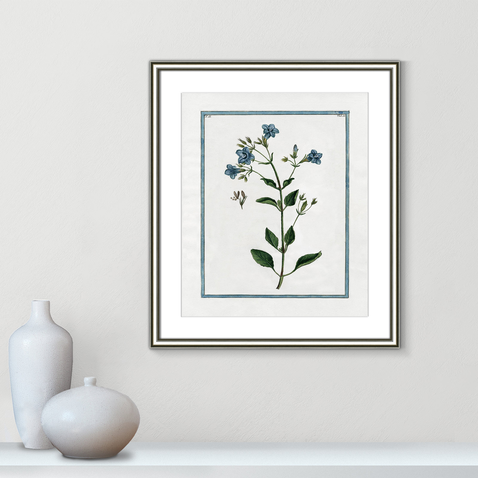 Shabby Elegance Botanical II - Framed Art, 17.25" W x 20.25" H, Silver Framed