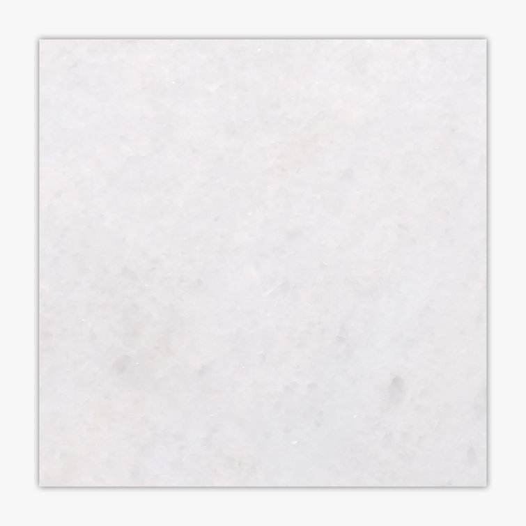 Biarritz 12'' W x 12'' L Marble Singular Tile