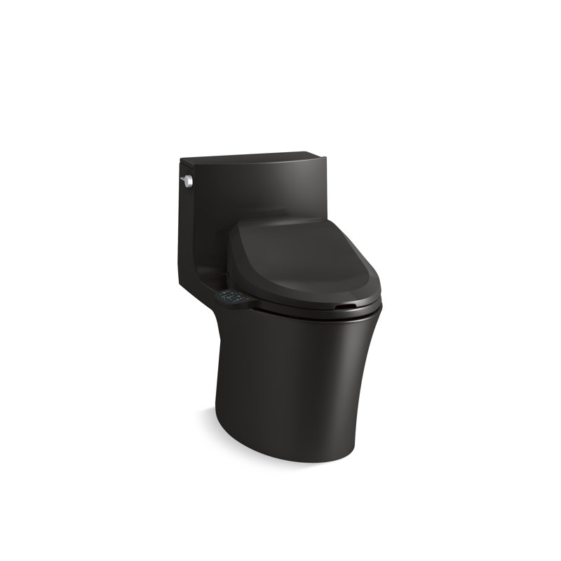 Veil One-Piece Elongated Dual-Flush Toilet with Skirted Trapway and Concealed Cords, Matte Black
