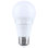 Bulb