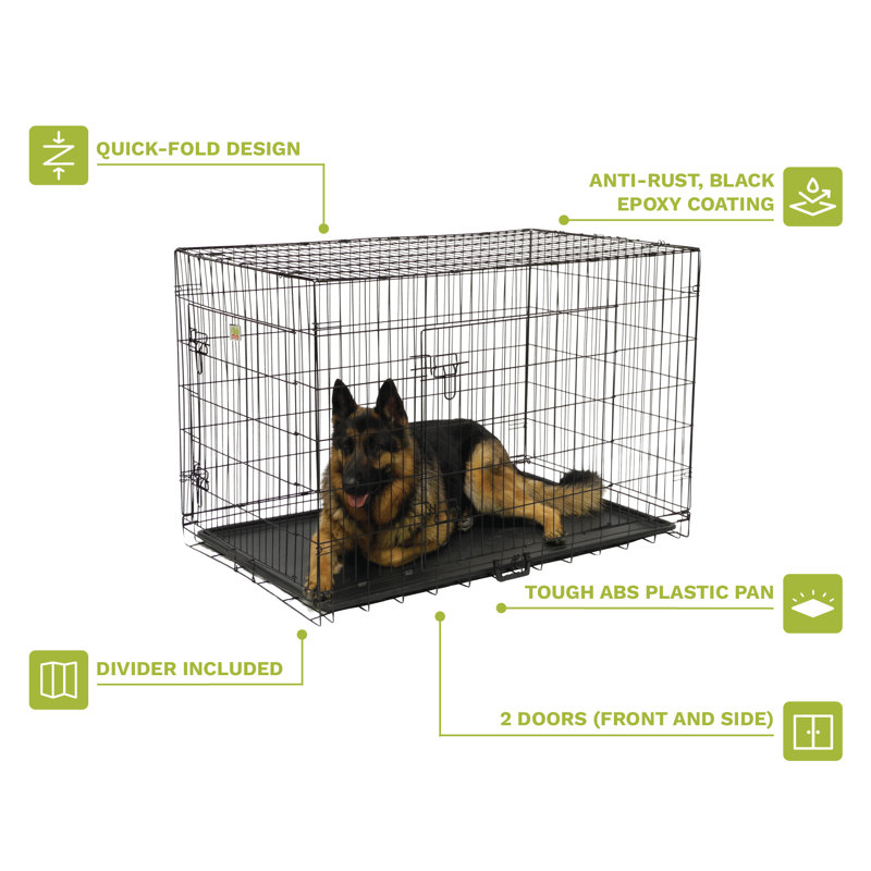 Metal Collapsible Pet Crate with 2 Doors, Large (30" H x 28" W x 42" D)