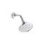 Bellis® Air-Induction Showerhead with Arm-29488107