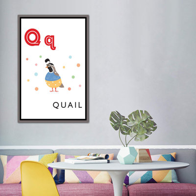 " Alphabet Flash Cards Q "