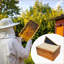 Beekeeping Woodenware-1761304503