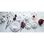 Platinum Edge 2 Piece 6" Plates Set