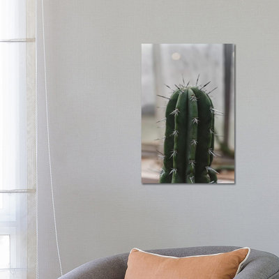 Cactus épineux par Chelsea Victoria - photographie sur toile tendue
