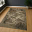 Area Rug-1299886185