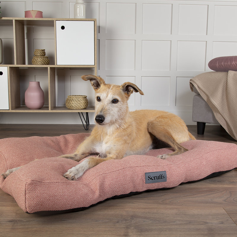 Scruffs Seattle - Luxury Dog Bed Mattress, Coral Pink, 14cm H x 100cm W x 70cm D