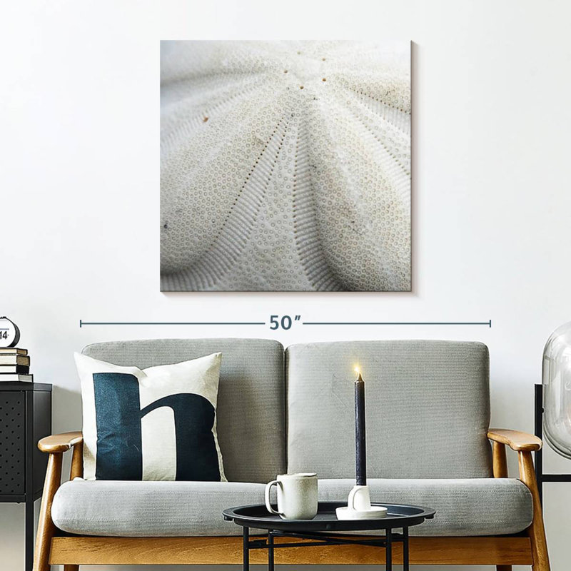 Crowle Textured Sand Dollar, 30" H x 30" W