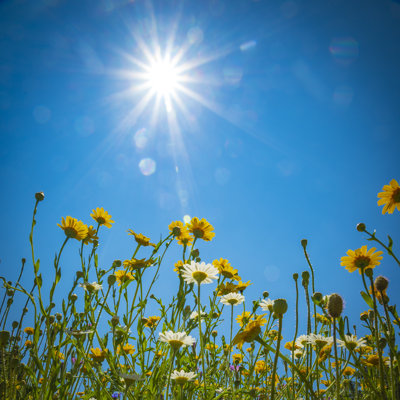 Bright Bright - photographie sur toile tendue