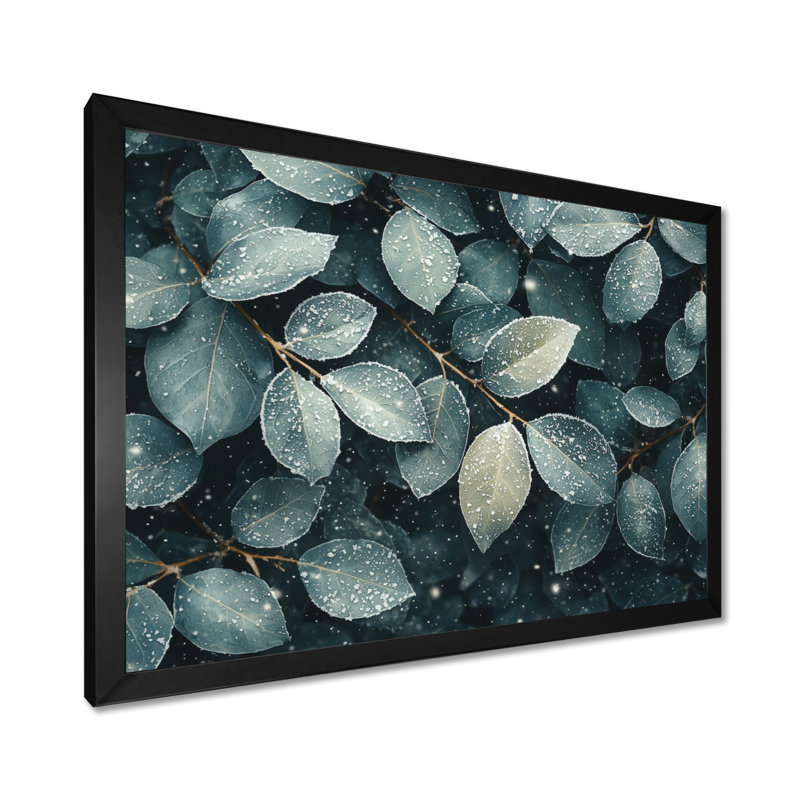 Evergreen Leaves In Snow IV - Leaves, art mural, Reproduction encadrée d'une seule photo, Noir, noir, noir, noir