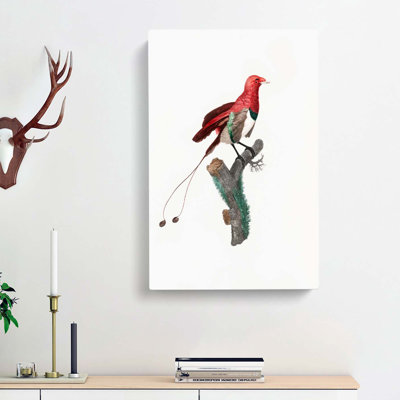 King Bird Of Paradise by Jacques Barraband - Wrapped Canvas