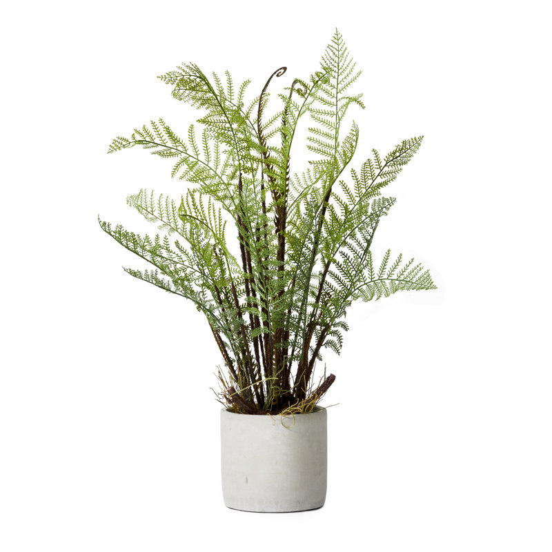 26'' Succulent Plant in Stone Pot