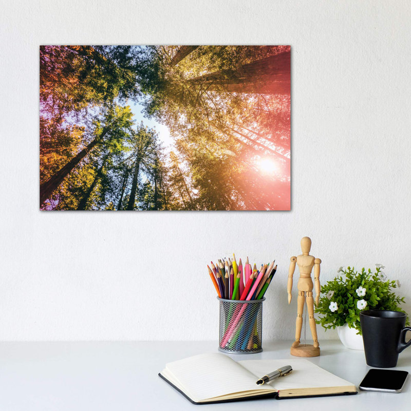 California Redwoods, Sun Rays, And Sky by Elena Kulikova - Wrapped Canvas Print, 20.32cm H x 30.48cm W x 1.91cm D
