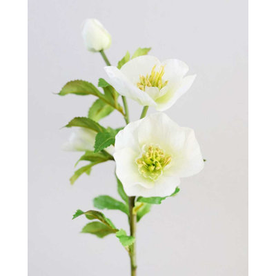Hellébore blanc Real Touch 18 po