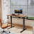 Hieronymus Electric Adjustable T-Shape Standing Desk Home Desk With Backpack Hook And Memory Smart Pannel-1651524266-1626604754