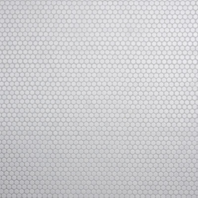 Hudson Penny Round Porcelain Wall and Floor Tile