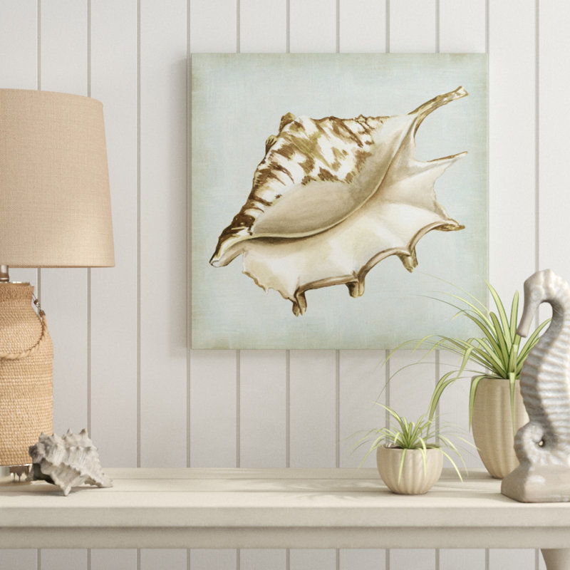 «Sea Dream Shells IV» par Vision Studio, reproduction d'art sur toile, H 20 po x l 20 po, Toile tendue