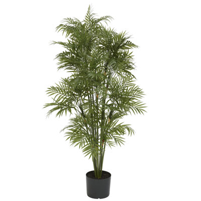Palmier de salon en pot