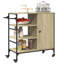 Stirum Metal Bar Cart-2145821127