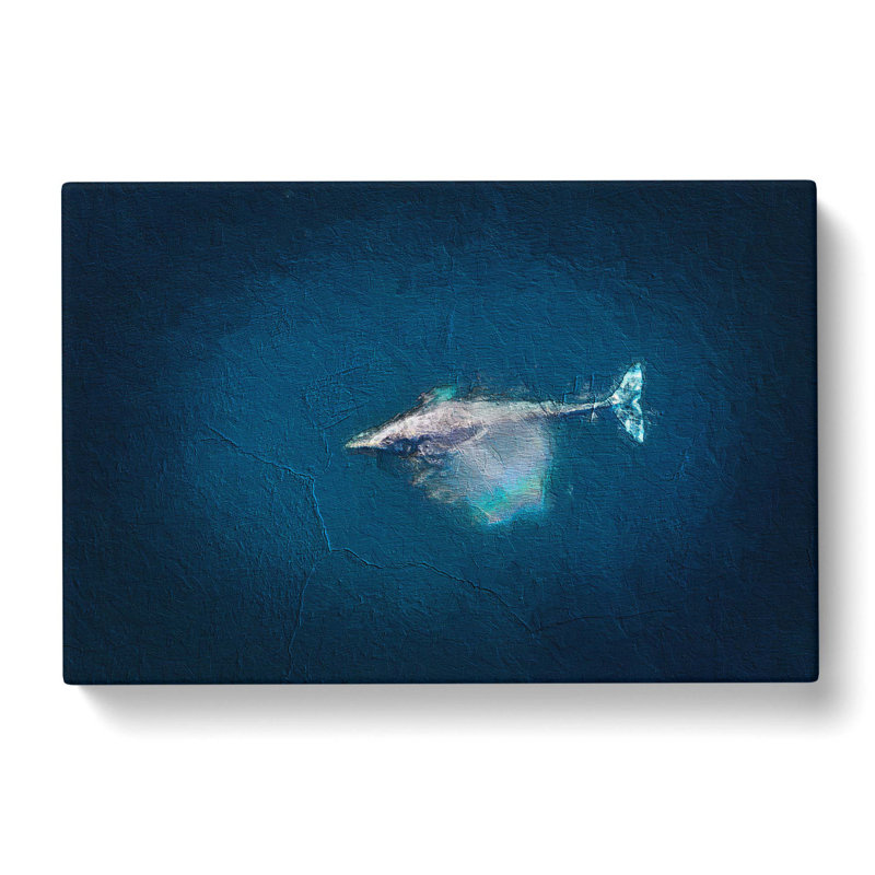 Swimming Dolphin - Wrapped Canvas, 40cm H x 60cm W x 3cm D