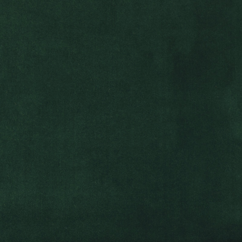 Intrigue - Solid Velvet Upholstery Fabric By The Yard, Galapagos
