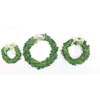 Preserved Boxwood 10'' Wreath