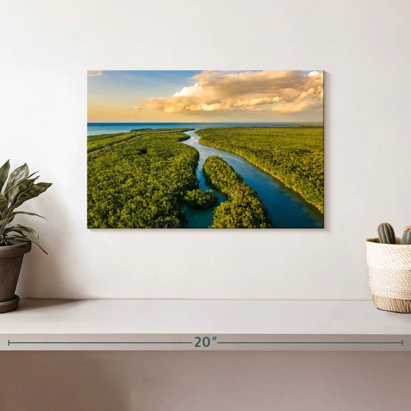 Parc national des Everglades d'Alvord, H 8 po x l 12 po