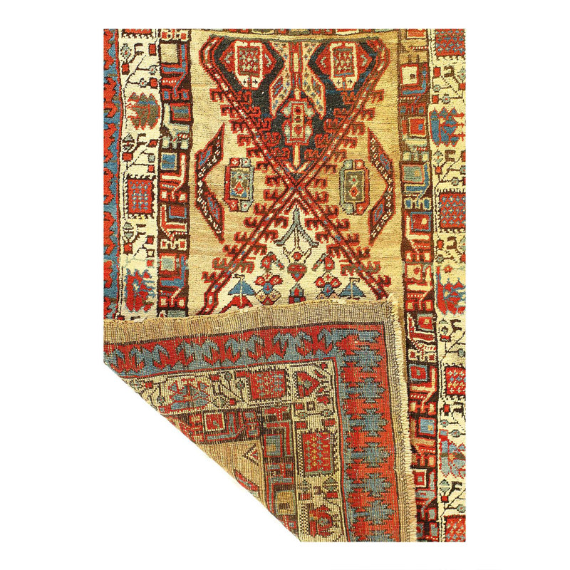 Kutina Hand Woven Cotton Oriental Area Rug