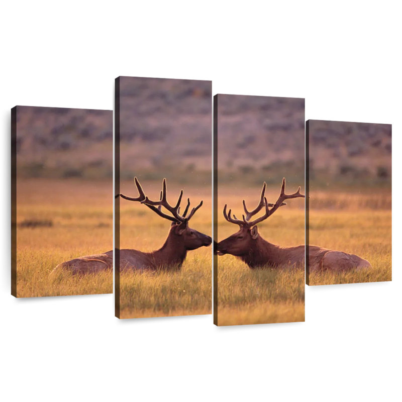 Brampt Stag Buddies, 27" H x 43" W