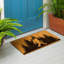 Tapis en fibre de coco High Country Bigfoot, 28 po x 16 po
