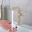 Single-handle Bathroom Faucet