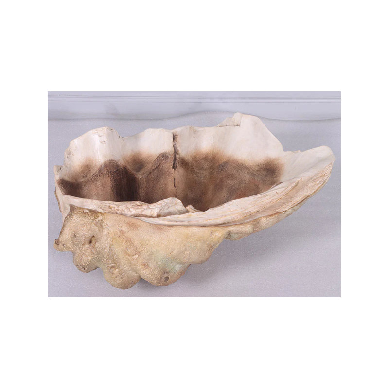 Statue de coquillages Calyce
