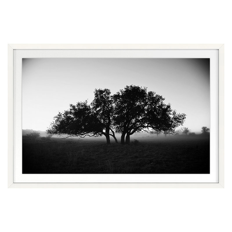Foggy Morning Print by Jean Cornell, White, 30" H x 45" W 