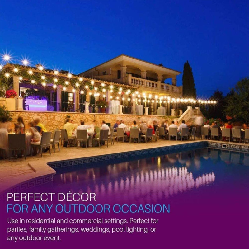 1200" LED  50 -Light Globe String Light (End to End Connectable)