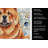 Red Chow Chow Coastal Sea Glass Kitchen Towel-871464209