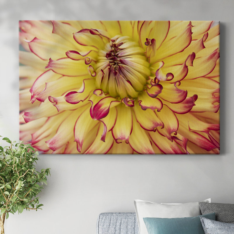 Toile tendue Blooms II-Gallery, H 12 po x l 18 po