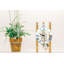 Horloge de table