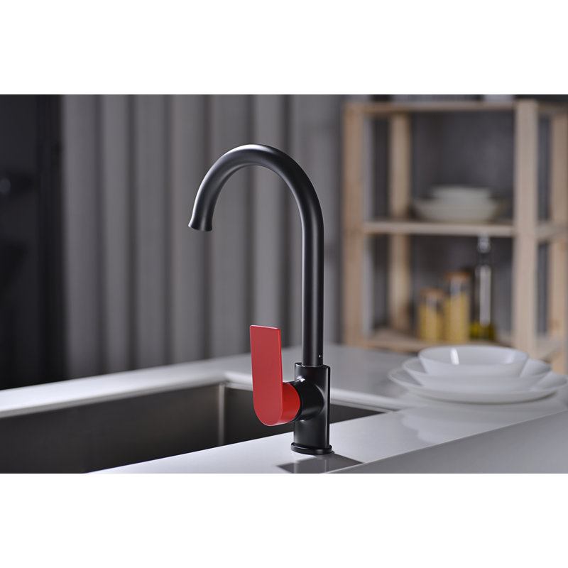 Le robinet de cuisine à poignée simple Camellia avec accessoires