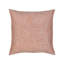 Chari Indoor & Outdoor Woven Accent Pillow-1958559174-1958559175