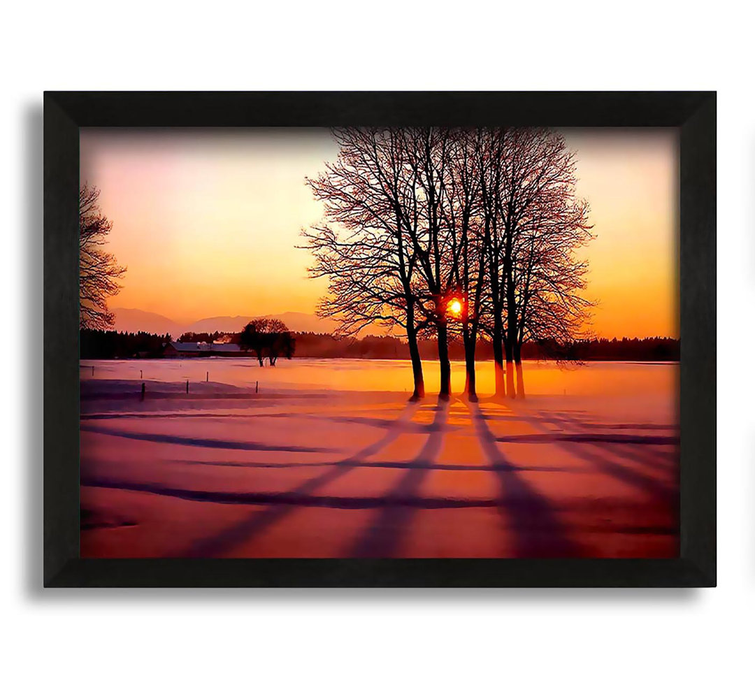 Winter Tree Sunrise Pinks - Druck