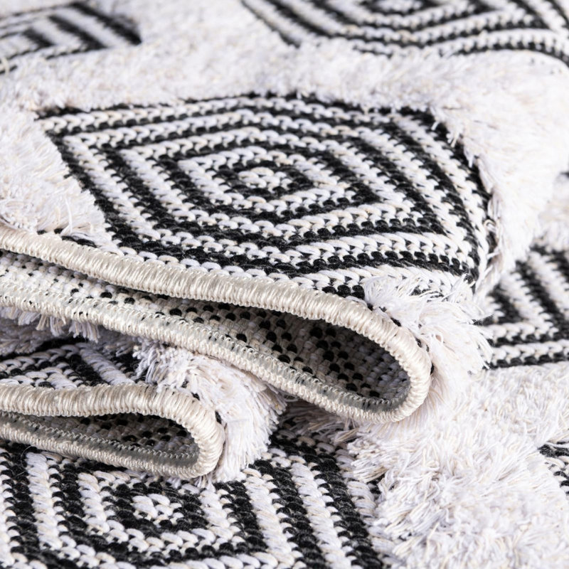 Mishti Cotton Moroccan Indoor Rug, Rectangle 6'4" x 9'