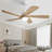 Damecia 52'' Ceiling Fan with LED Lights-1444270906