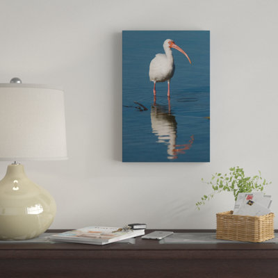 « white ibis fort myers beach floride i », reproduction de photo sur toile