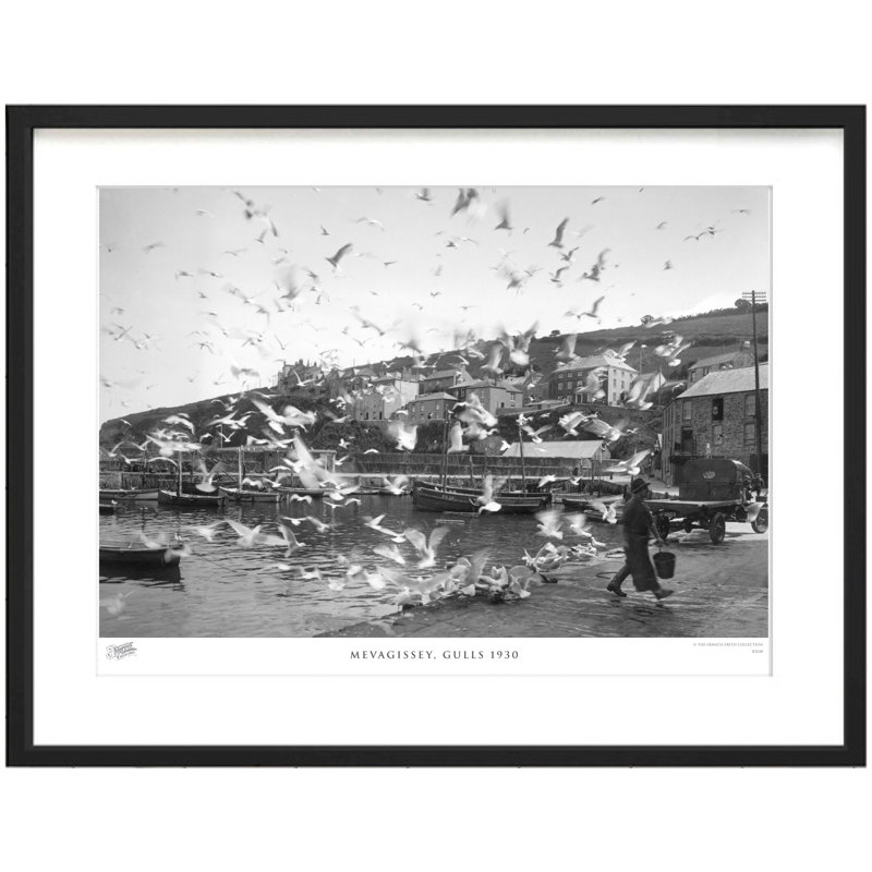 Mevagissey, Gulls 1930 - Single Picture Frame Print, 45cm H x 60cm W x 2.3cm D