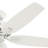 Newsome 52" 5 - Blade Traditional Indoor Ceiling Fan with Pull Chain-56420982