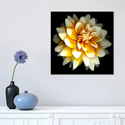 Dahlia 1 Piece Wrapped Canvas Wall Art
