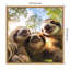 «Funny Animal Sloth Selfie» par The Creative Bunch Studio, reproduction d'art sur toile encadrée-1445970284